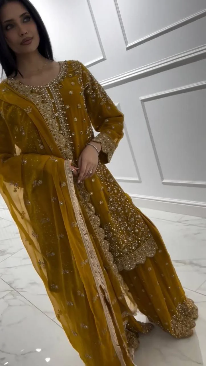 Avnika-HK Faux Georgette Top-Plazzo Set - Image 5